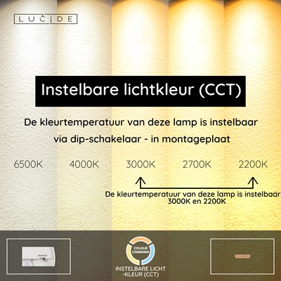 Lucide BANNISTER - Wandlamp - LED Dimb. - CCT - 2x7W 2200K/3000K - Lichte houtlook - Vibes